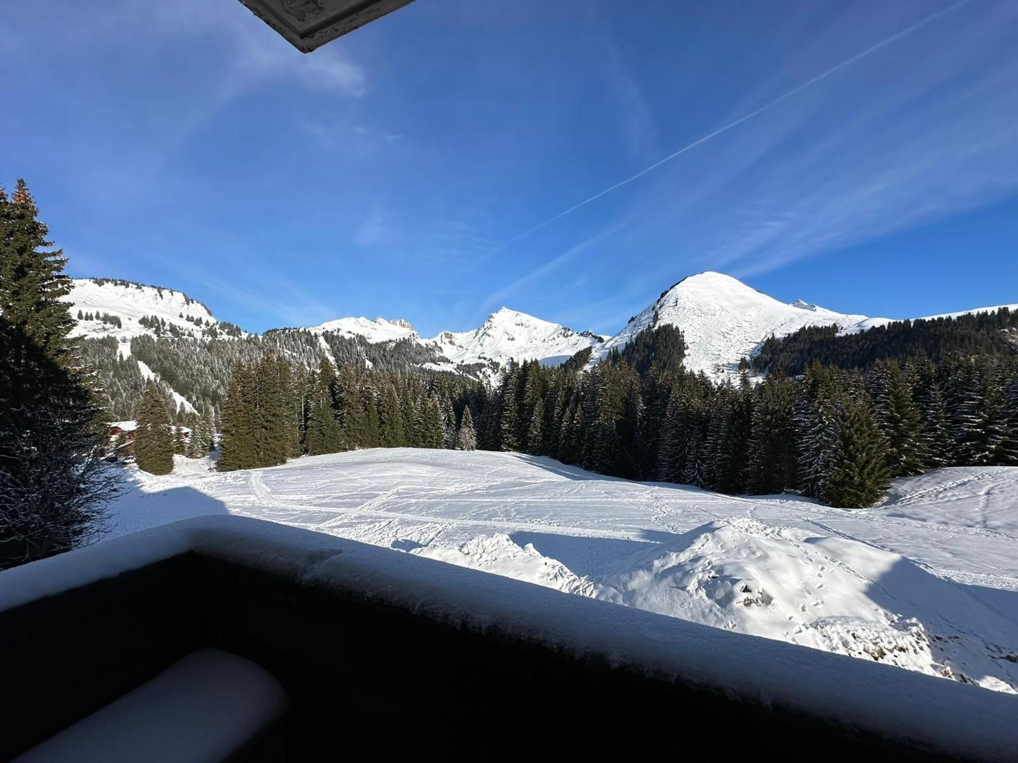 Studio Au Coeur Du Praz-De-Lys - Les Pralyssimes Praz de Lys Exteriör bild