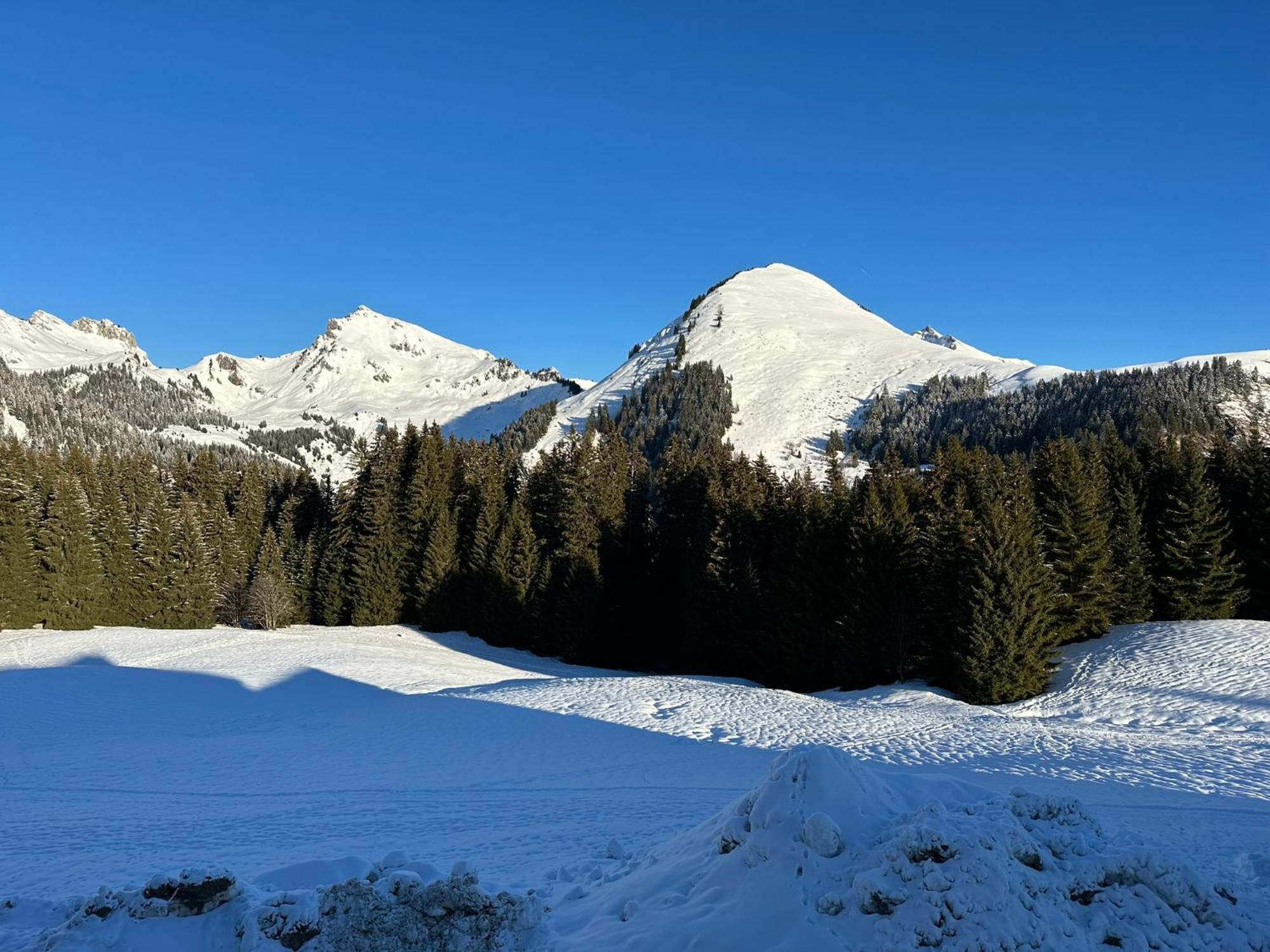 Studio Au Coeur Du Praz-De-Lys - Les Pralyssimes Praz de Lys Exteriör bild