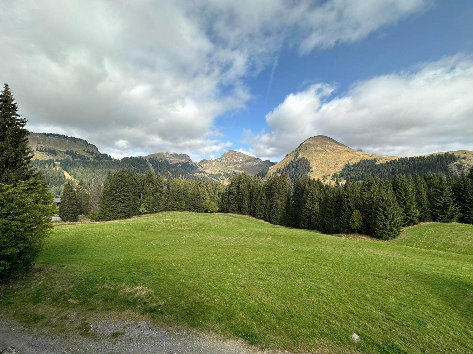 Studio Au Coeur Du Praz-De-Lys - Les Pralyssimes Praz de Lys Exteriör bild