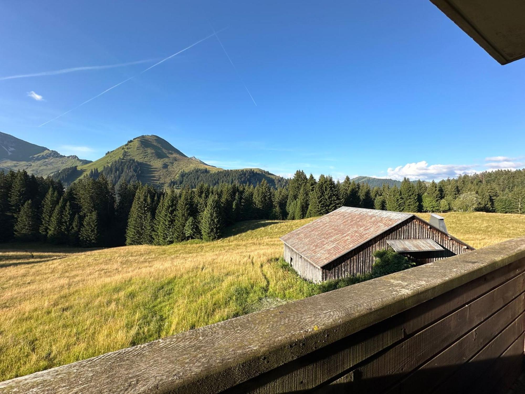 Studio Au Coeur Du Praz-De-Lys - Les Pralyssimes Praz de Lys Exteriör bild