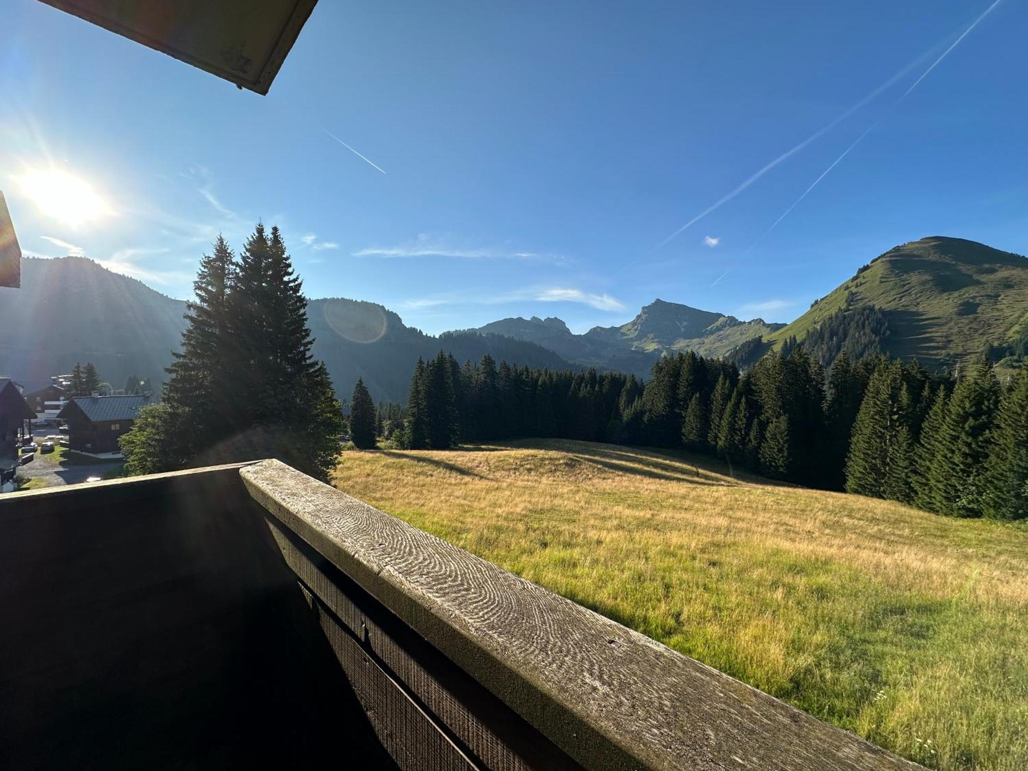Studio Au Coeur Du Praz-De-Lys - Les Pralyssimes Praz de Lys Exteriör bild